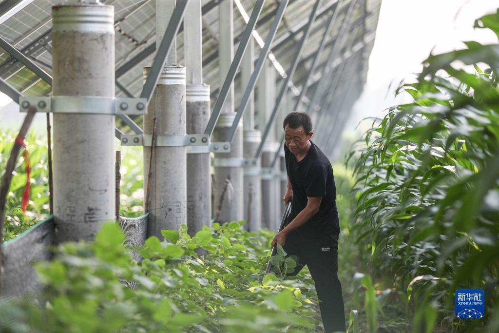 新加坡金沙网站检测