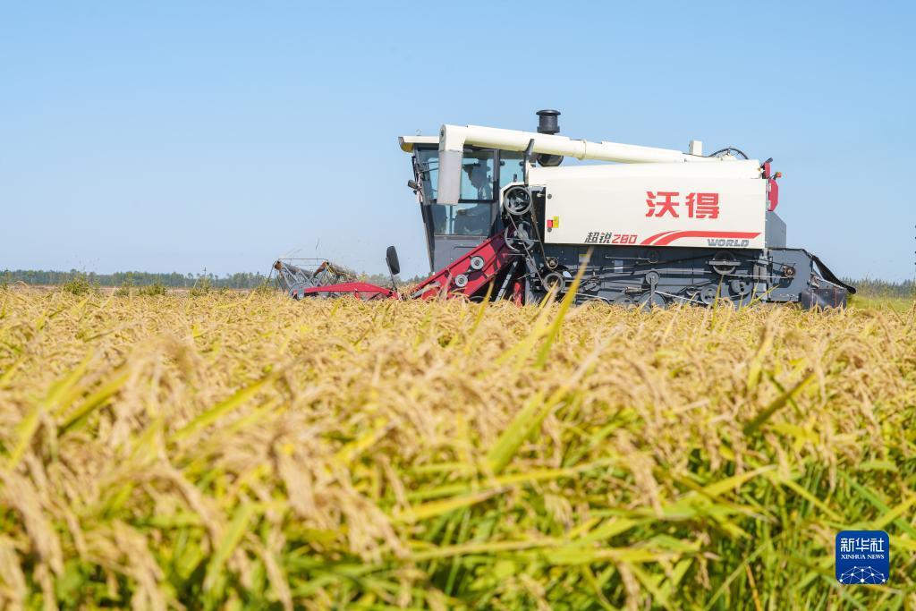 全优娱乐公司